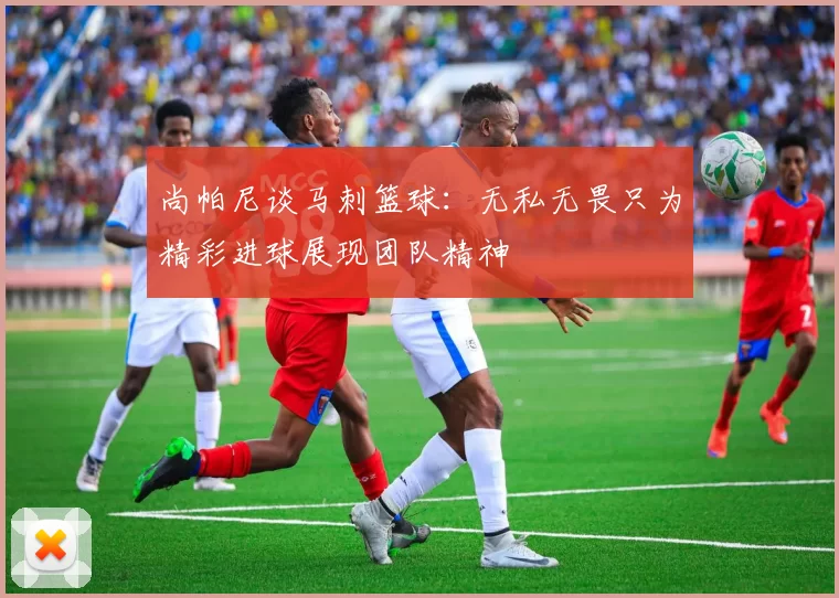 尚帕尼谈马刺篮球：无私无畏只为精彩进球展现团队精神